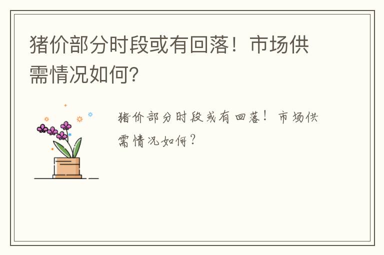 猪价部分时段或有回落！市场供需情况如何？