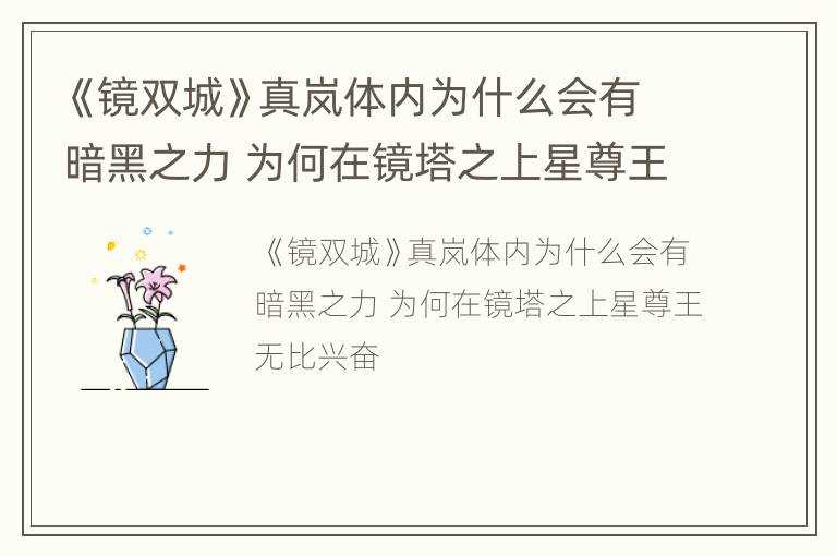 《镜双城》真岚体内为什么会有暗黑之力 为何在镜塔之上星尊王无比兴奋