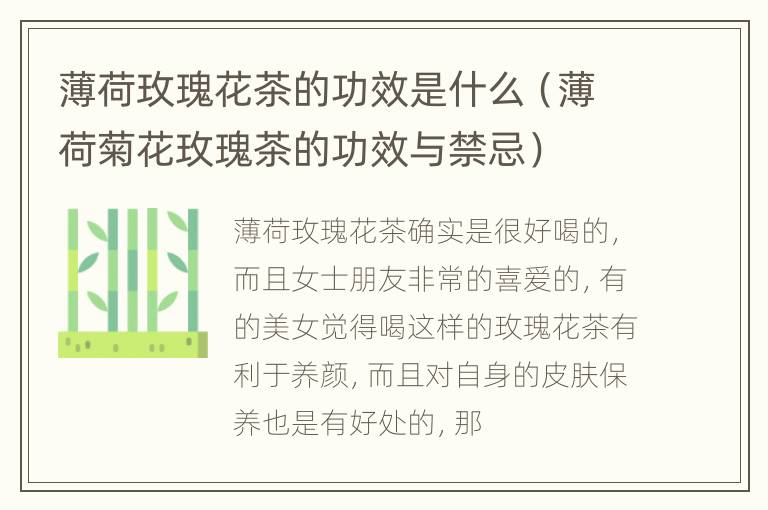 薄荷玫瑰花茶的功效是什么（薄荷菊花玫瑰茶的功效与禁忌）