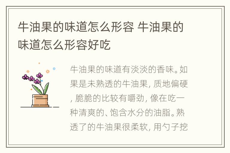 牛油果的味道怎么形容 牛油果的味道怎么形容好吃