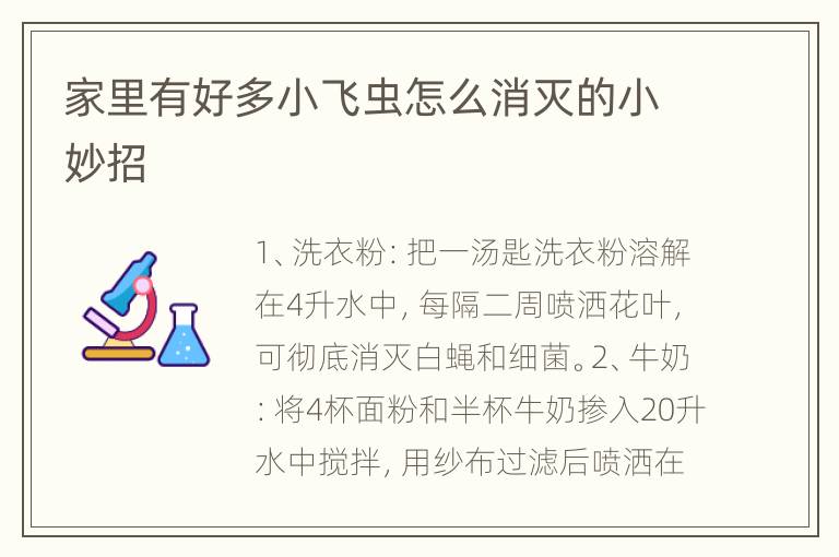 家里有好多小飞虫怎么消灭的小妙招