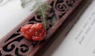 女士运势不好戴什么东西（女士运势不好戴什么东西最好）