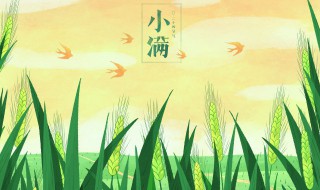 小满节气文案 有什么小满节气文案