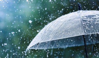 雨水的益处（雨水的好处）