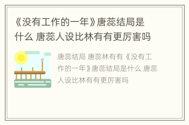 《没有工作的一年》唐蕊结局是什么 唐蕊人设比林有有更厉害吗