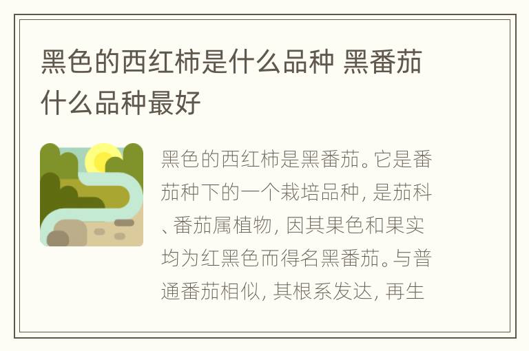 黑色的西红柿是什么品种 黑番茄什么品种最好
