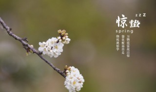 惊蛰古诗词 关于惊蛰的古诗有哪些