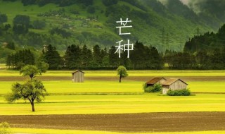 芒种节气名称的含义 芒种节气是第几个呢