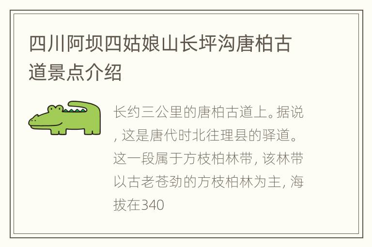 四川阿坝四姑娘山长坪沟唐柏古道景点介绍