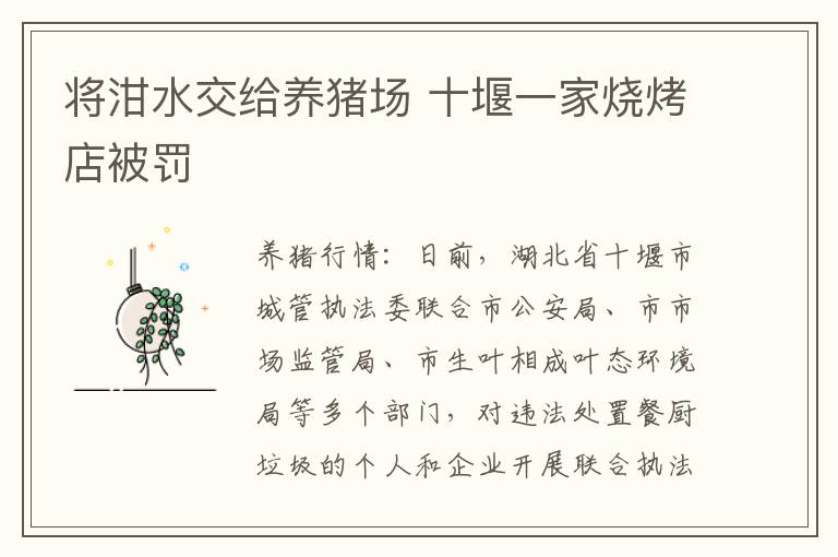 将泔水交给养猪场 十堰一家烧烤店被罚