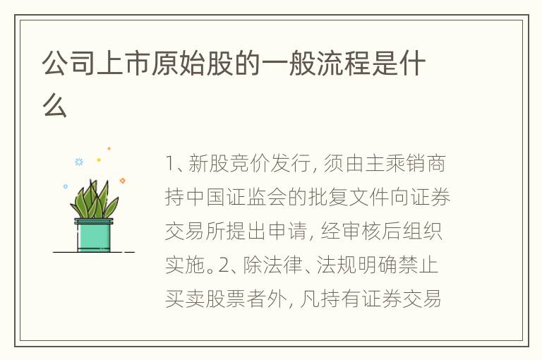 公司上市原始股的一般流程是什么