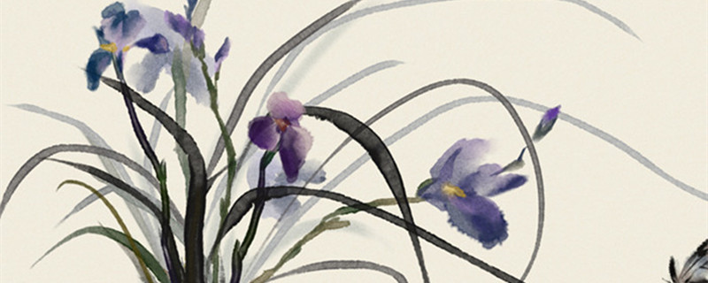 稀有花卉品种