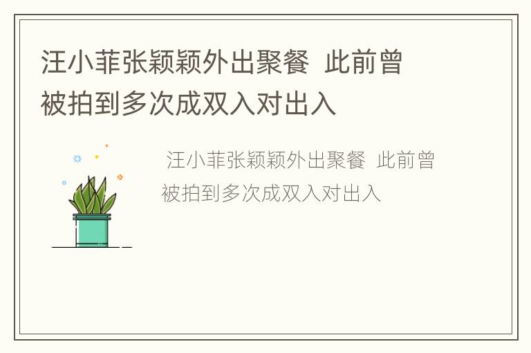 汪小菲张颖颖外出聚餐  此前曾被拍到多次成双入对出入