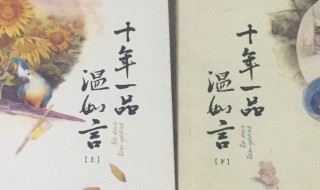 十年一品温如言电视剧演员 十年一品温如言电视剧介绍