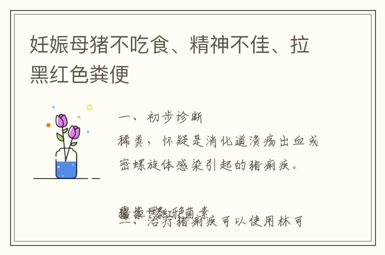 妊娠母猪不吃食、精神不佳、拉黑红色粪便