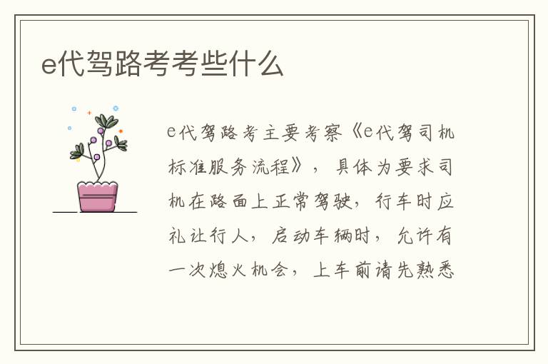 e代驾路考考些什么