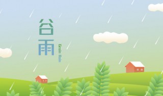 谷雨茶的功效与作用 谷雨茶的功效与作用是什么