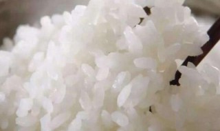 蒸米饭可以放葡萄干吗 蒸米饭可不可以放葡萄干