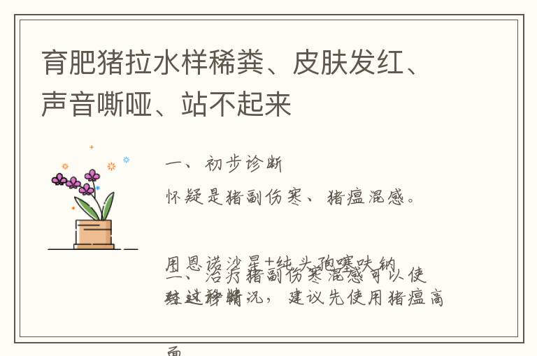育肥猪拉水样稀粪、皮肤发红、声音嘶哑、站不起来