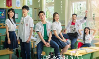 别想打扰我学习剧情简介 别想打扰我学习电视剧简介