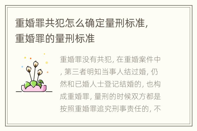 重婚罪共犯怎么确定量刑标准，重婚罪的量刑标准
