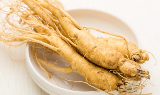 鲜人参怎样食用方法 鲜人参食用方法有哪些