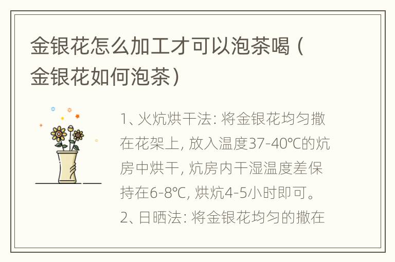 金银花怎么加工才可以泡茶喝（金银花如何泡茶）