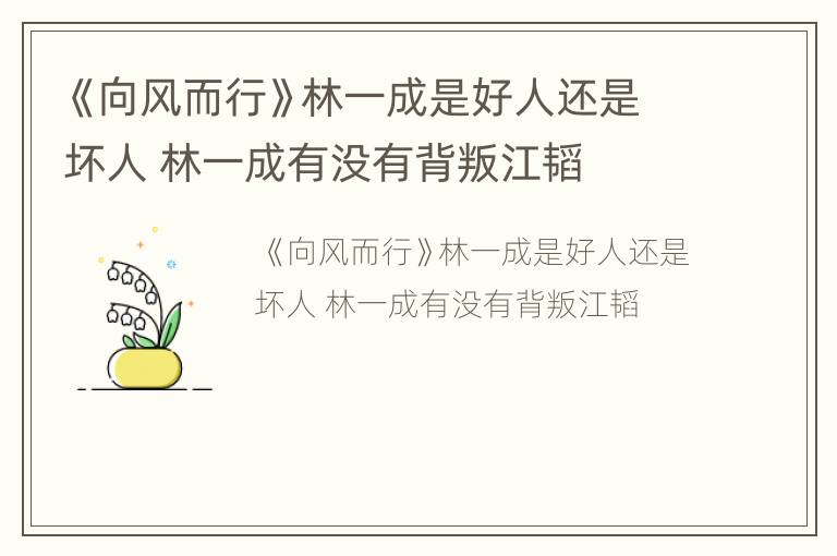 《向风而行》林一成是好人还是坏人 林一成有没有背叛江韬