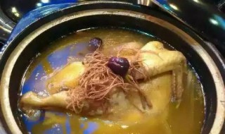 三七粉煲鸡汤的功效 三七粉煲鸡汤有什么用