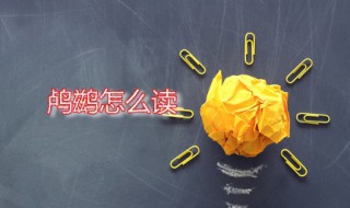 鸬鹚怎么读 鸬鹚是什么鸟