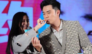 陈赫杨颖演过的电影是什么 陈赫杨颖演过的电影介绍