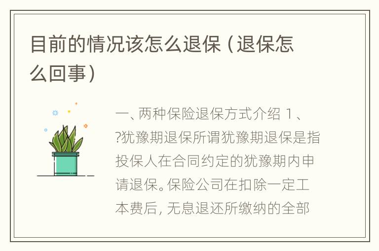 目前的情况该怎么退保（退保怎么回事）