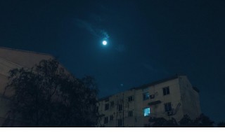 今晚月色真美下一句是啥 今晚月色真美下一句是什么呢