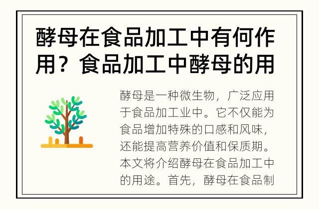 酵母在食品加工中有何作用？ 食品加工中酵母的用途