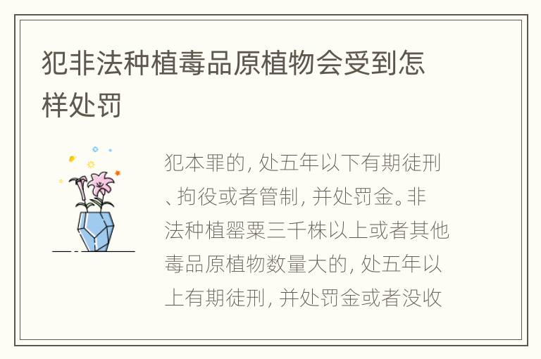 犯非法种植毒品原植物会受到怎样处罚