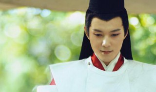 棋魂里面褚嬴为什么是无名氏 棋魂里面褚嬴的简介