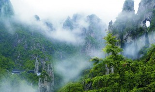 平阳清明节去哪里玩 在清明适合去平阳哪里玩