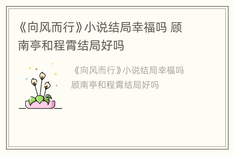 《向风而行》小说结局幸福吗 顾南亭和程霄结局好吗