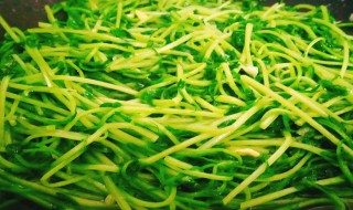豌豆苗炒不熟有毒吗 豌豆苗炒不熟有没有毒