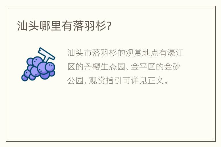 汕头哪里有落羽杉？