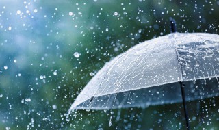 描写雨点儿的优美句子 描写雨点儿的优美句子示范