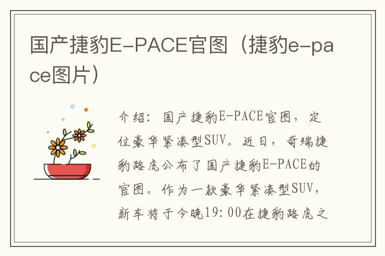国产捷豹E-PACE官图（捷豹e-pace图片）