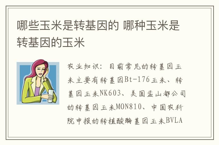 哪些玉米是转基因的 哪种玉米是转基因的玉米