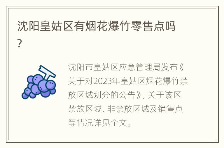 沈阳皇姑区有烟花爆竹零售点吗？