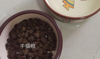 烘培猫粮怎么做 怎么做烘培猫粮