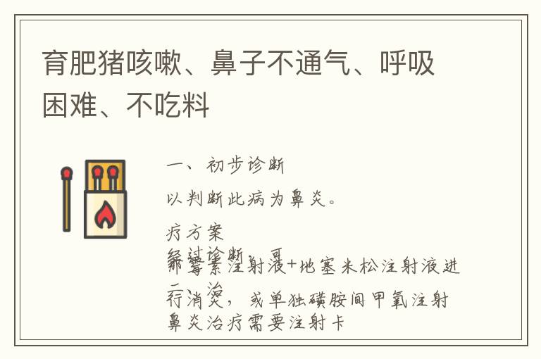 育肥猪咳嗽、鼻子不通气、呼吸困难、不吃料