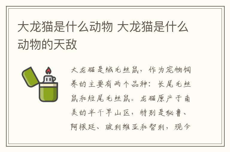 大龙猫是什么动物 大龙猫是什么动物的天敌