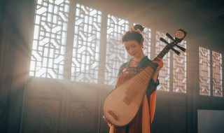 琵琶怎么清洁 琵琶如何清洁