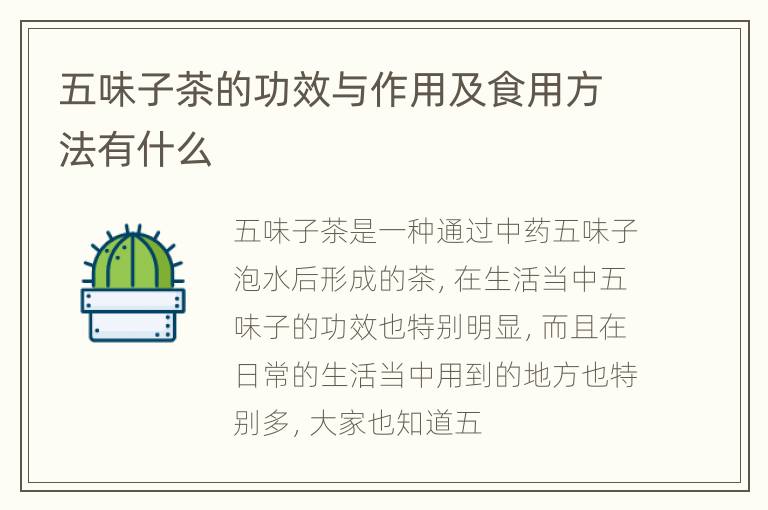 五味子茶的功效与作用及食用方法有什么