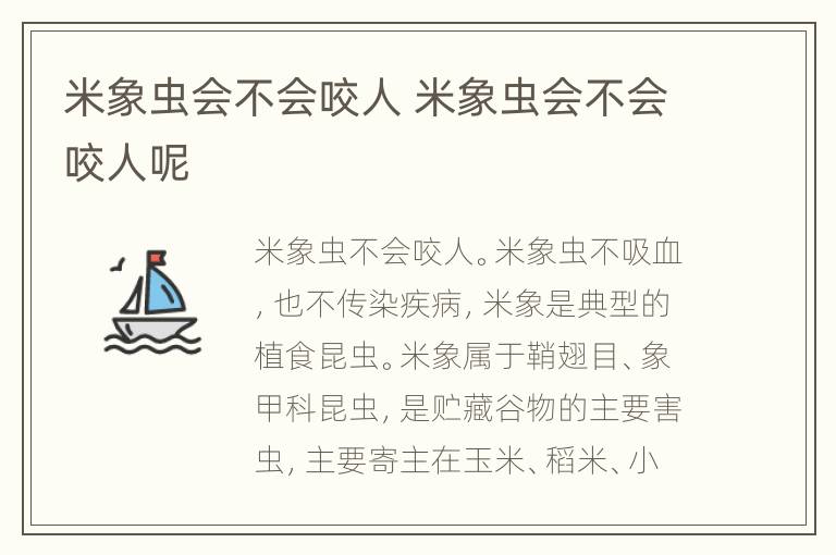 米象虫会不会咬人 米象虫会不会咬人呢